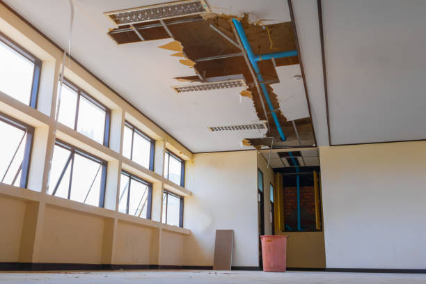 Best 24-hour water damage restoration  in Cutten, CA