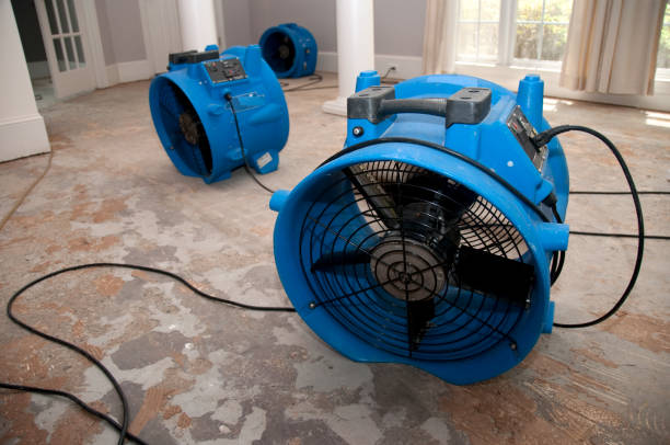 Best Carpet water damage restoration  in Cutten, CA