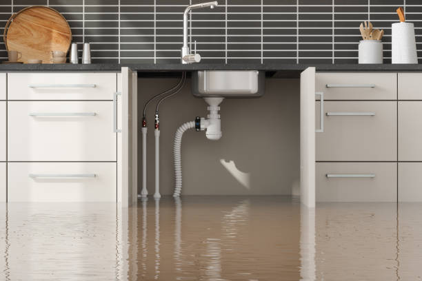 Best Water damage restoration near me  in Cutten, CA