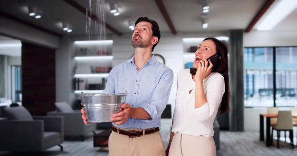 Best Basement water damage restoration  in Cutten, CA