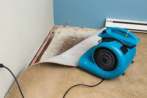 Best Professional water damage repair  in Cutten, CA